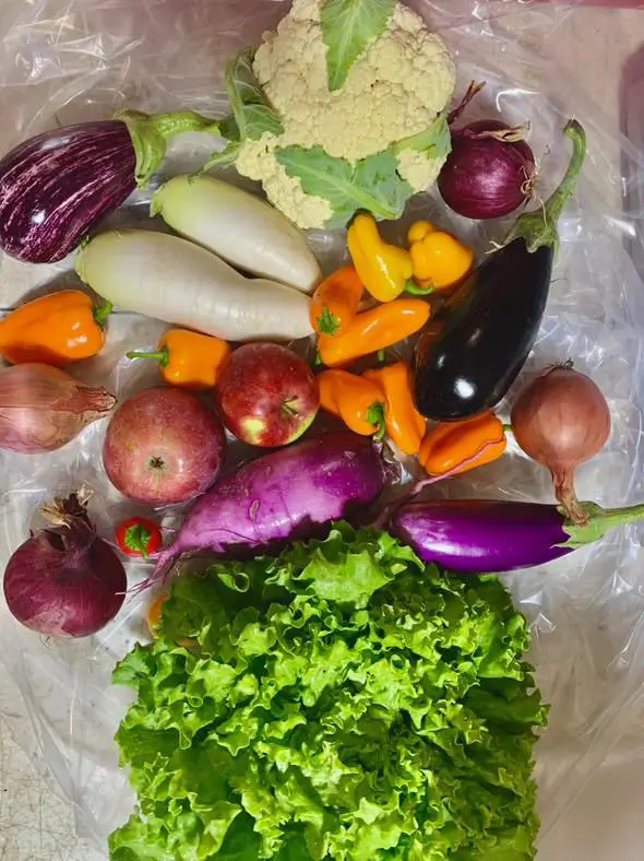 Full-Share-with-fruit