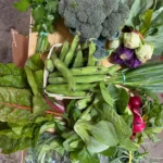 Full-Share-Vegies-3