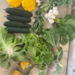Full-Share-Vegies-4
