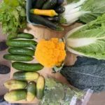 Half-Share-Vegies-4