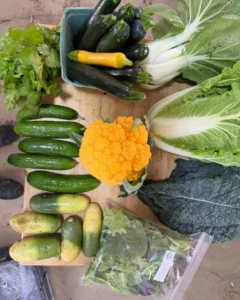 Half-Share-Vegies-4